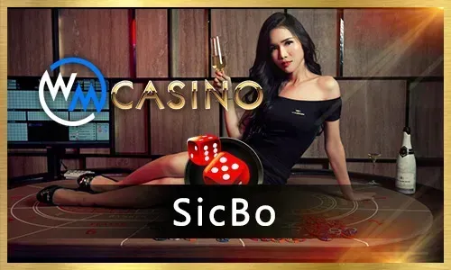 Exciting casino slots for online players
